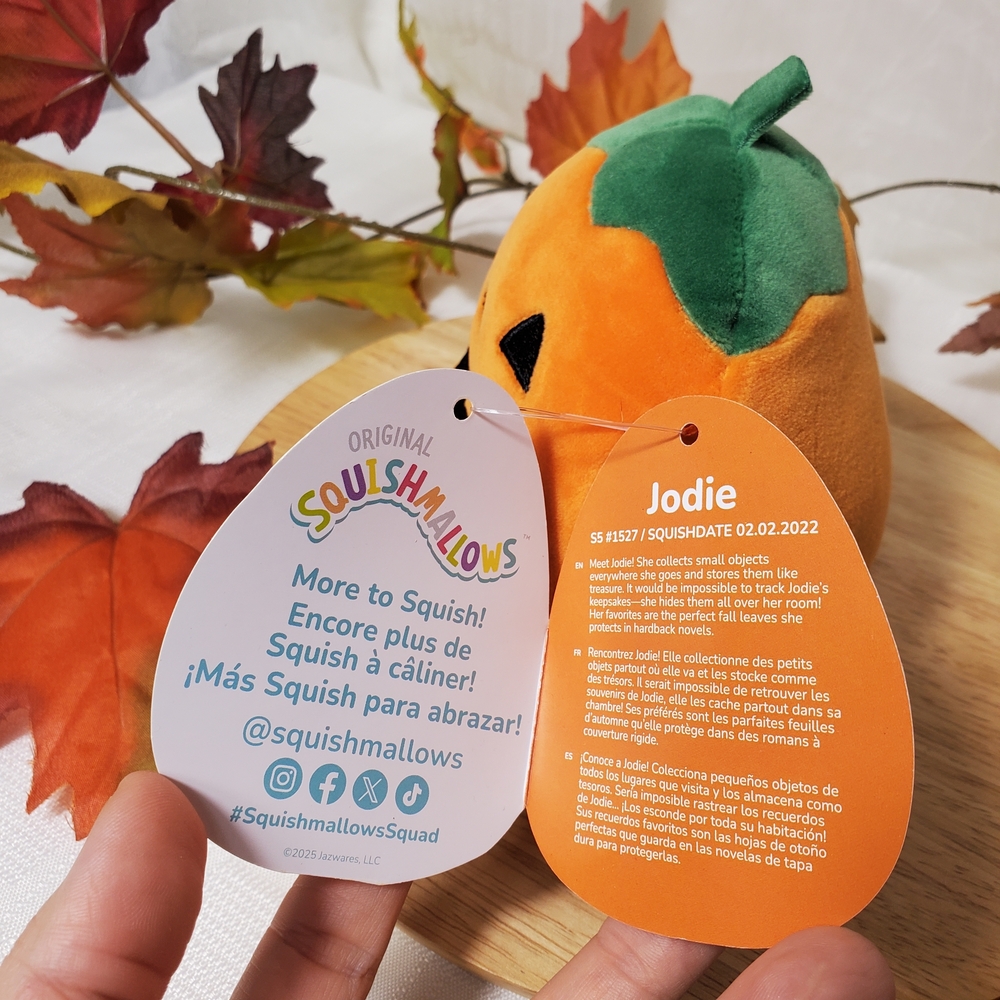 Squishmallows Jodie Pumpkin Halloween Cozy Plush Orange Green Stuffed Animal Toy - Picture 5 of 7